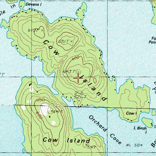 Topographic Map of Cow Island, NH