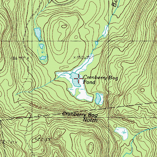 Topographic Map of Cranberry Bog Pond, NH