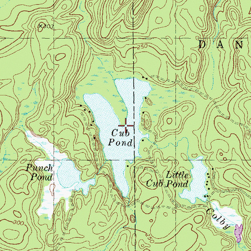 Topographic Map of Cub Pond, NH