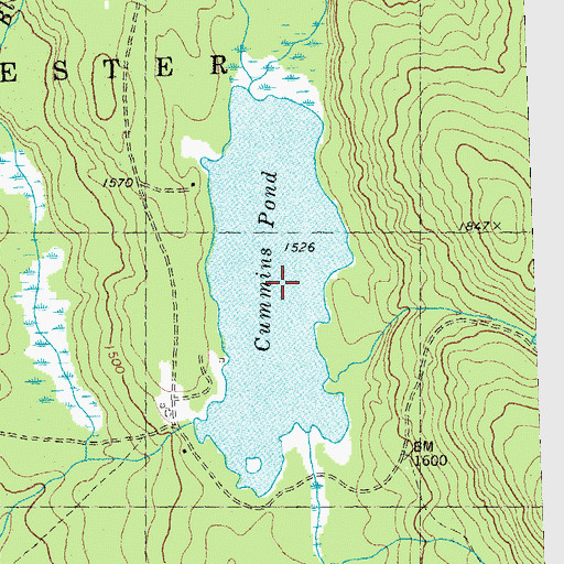 Topographic Map of Cummins Pond, NH