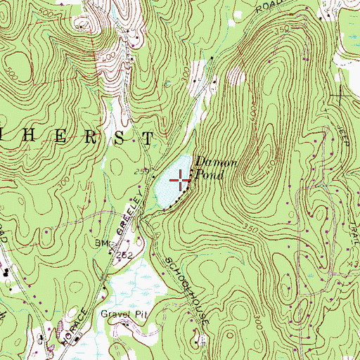 Topographic Map of Damon Pond, NH