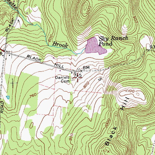 Topographic Map of Daniels Cemetery, NH
