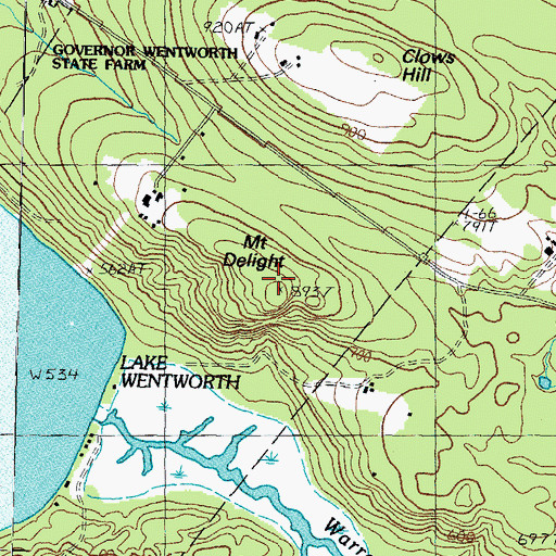 Topographic Map of Mount Delight, NH