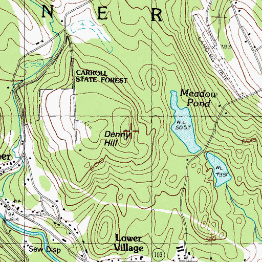 Topographic Map of Denny Hill, NH