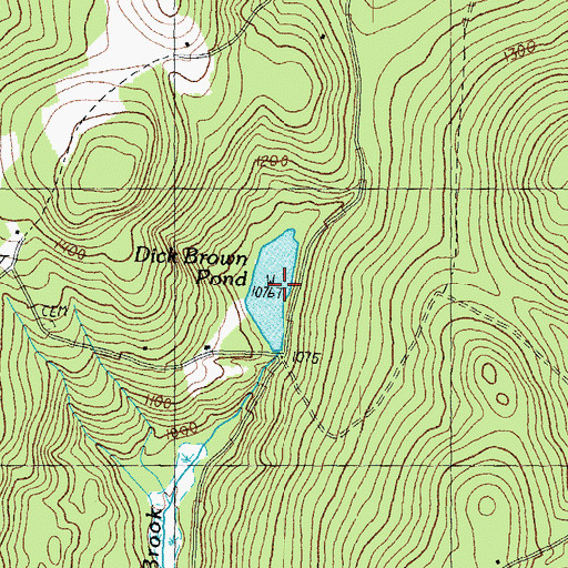 Topographic Map of Dick Brown Pond, NH