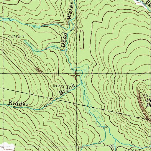 Topographic Map of Ferguson Brook, NH