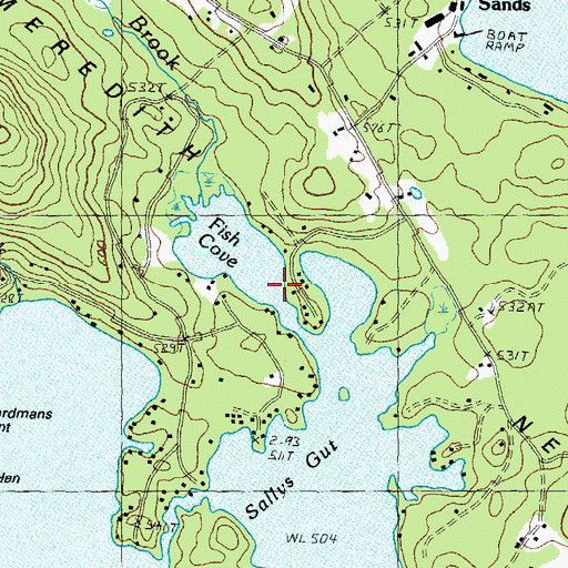 Topographic Map of Fish Cove, NH