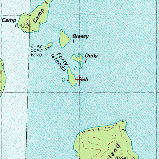 Topographic Map of Fish Island, NH