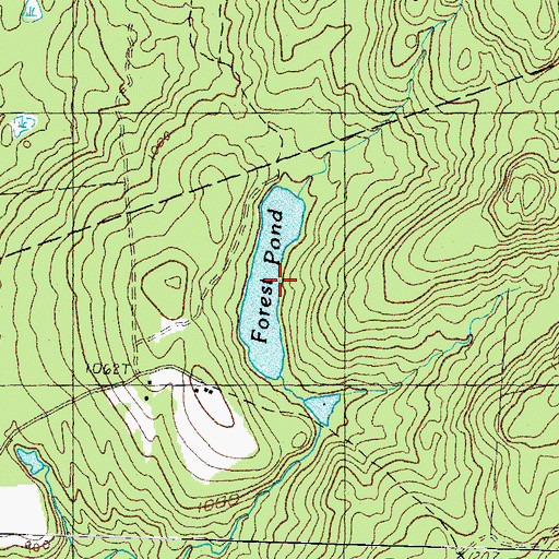 Topographic Map of Forest Pond, NH