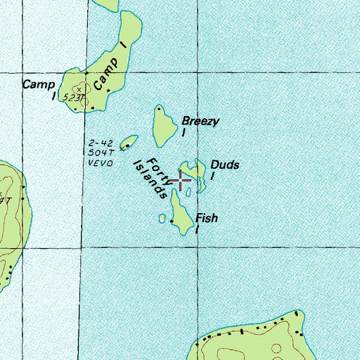 Topographic Map of Forty Islands, NH