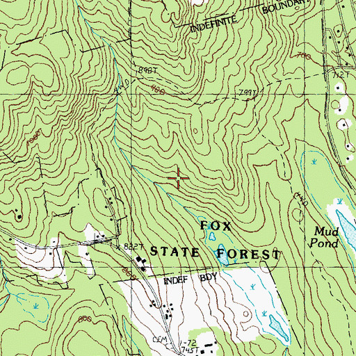 Topographic Map of Fox State Forest, NH