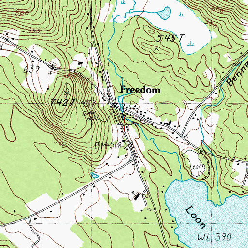 Topographic Map of Freedom, NH