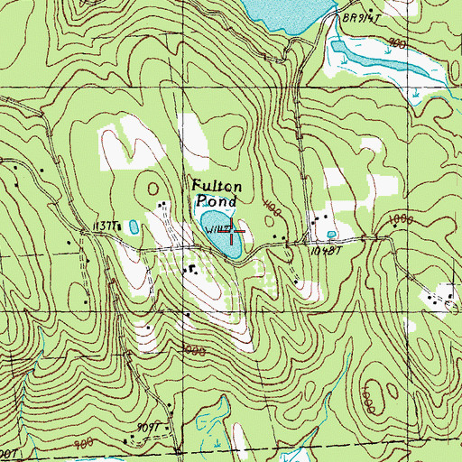 Topographic Map of Fulton Pond, NH