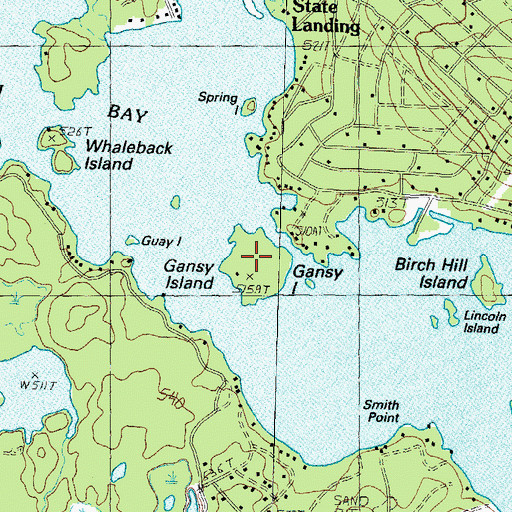 Topographic Map of Gansy Island, NH