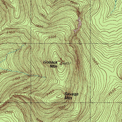 Topographic Map of Goback Mountain, NH