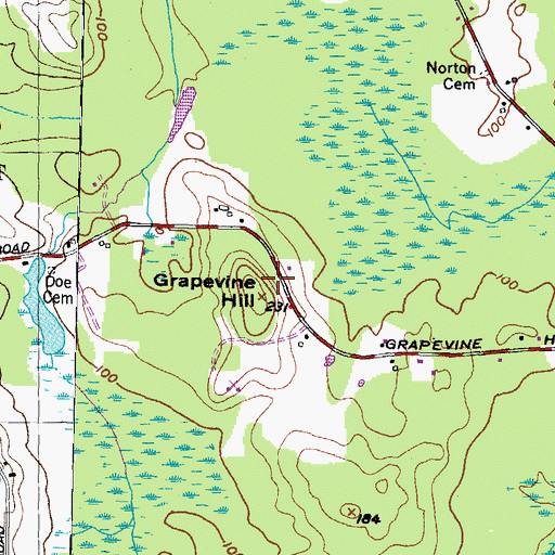 Topographic Map of Grapevine Hill, NH