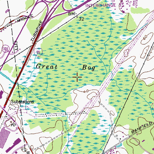 Topographic Map of Great Bog, NH