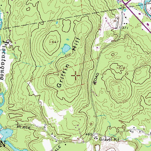 Topographic Map of Griffin Hill, NH