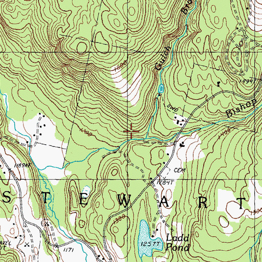 Topographic Map of Gulch Brook, NH