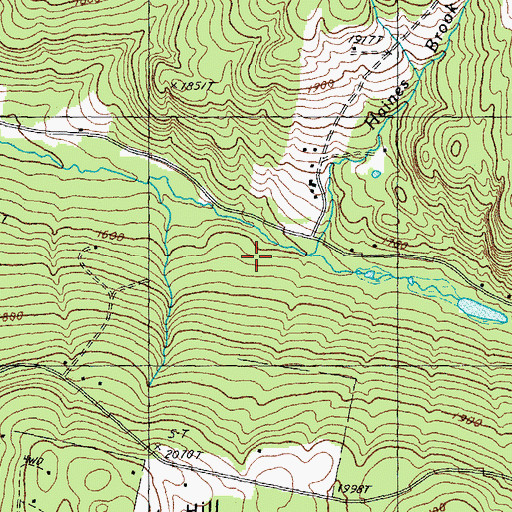 Topographic Map of Haines Brook, NH