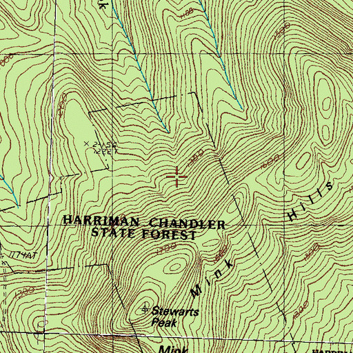 Topographic Map of Harriman Chandler State Forest, NH