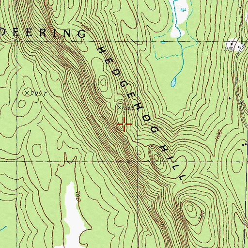 Topographic Map of Hedgehog Hill, NH