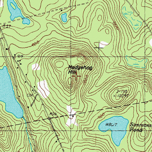 Topographic Map of Hedgehog Hill, NH