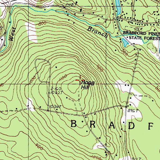 Topographic Map of Hogg Hill, NH