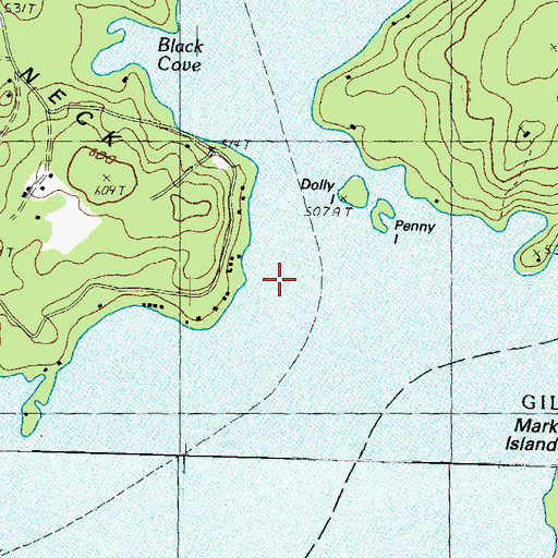 Topographic Map of Horse Island, NH