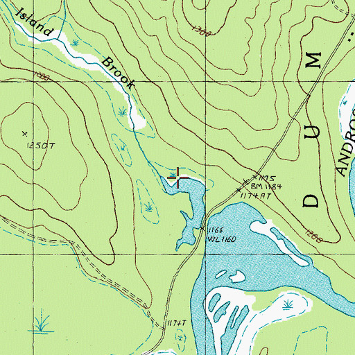 Topographic Map of Island Brook, NH