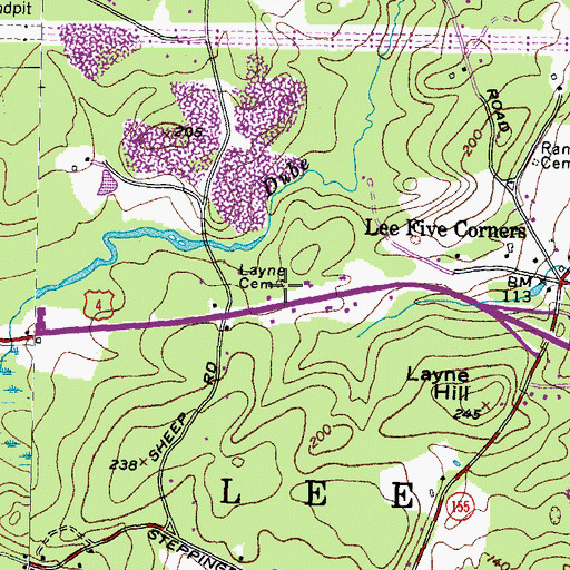 Topographic Map of Layne Cemetery, NH