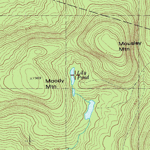 Topographic Map of Lily Pond, NH