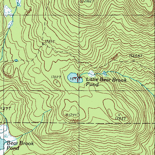 Topographic Map of Little Bear Brook Pond, NH