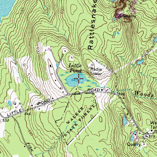 Topographic Map of Little Pond, NH