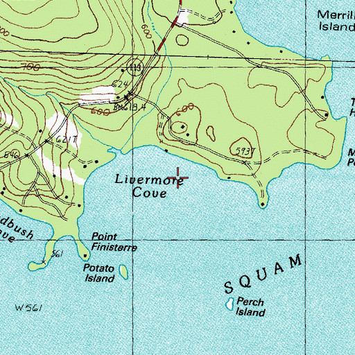 Topographic Map of Livernore Cove, NH