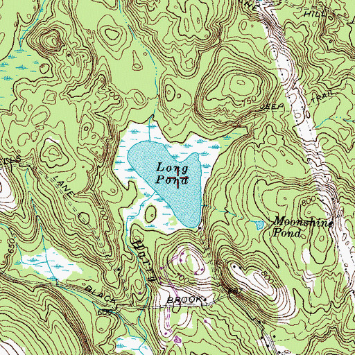 Topographic Map of Long Pond, NH