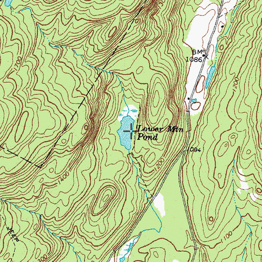 Topographic Map of Lower Mountain Pond, NH