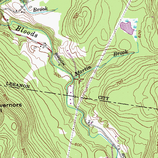 Topographic Map of Martin Brook, NH