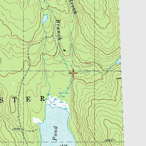 Topographic Map of Meadow Brook, NH