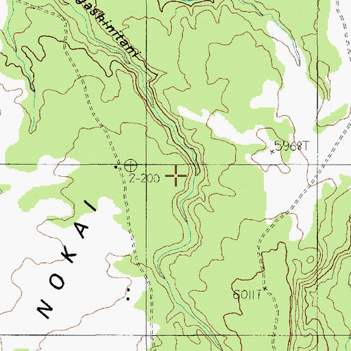 Topographic Map of Nokai Mesa, AZ
