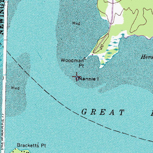 Topographic Map of Nannie Island, NH