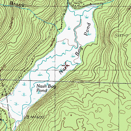 Topographic Map of Nash Bog Pond, NH