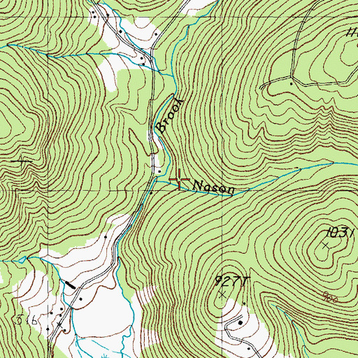 Topographic Map of Nason Brook, NH