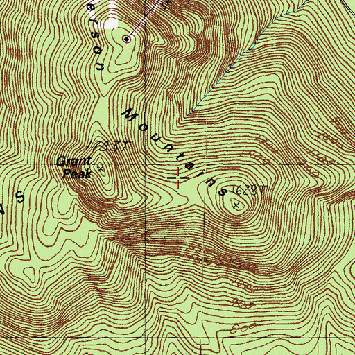 Topographic Map of Nickerson Mountains, NH