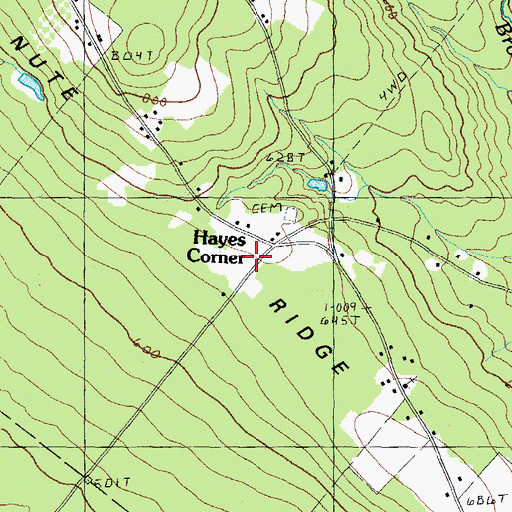Topographic Map of Nute Ridge, NH