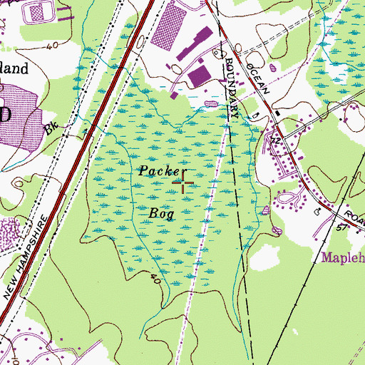 Topographic Map of Packer Bog, NH