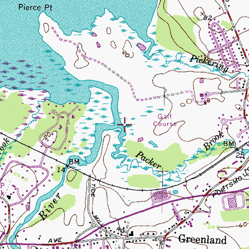 Topographic Map of Packer Brook, NH