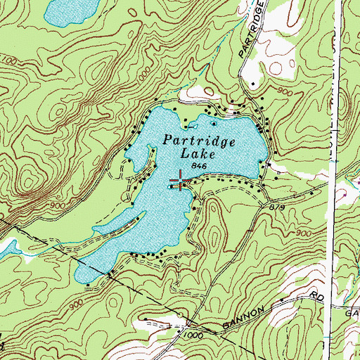 Topographic Map of Partridge Lake, NH