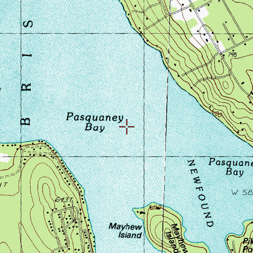 Topographic Map of Pasquaney Bay, NH