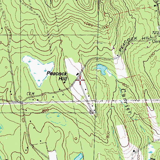 Topographic Map of Peacock Hill, NH